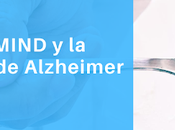 Dieta MIND enfermedad Alzheimer