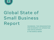 Informe sobre estado global pequeña empresa