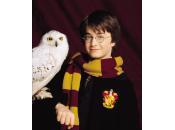 Photoshoots: Especial Harry Potter Retrospectiva años Hogwarts