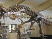 Barranco Perdido, Rioja: aventura diversión mundo dinosaurios