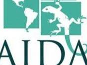 Beca AIDA Fund derechos humanos para abogados latinoamerica 2011