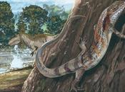 lagartija fósil antigua Sudamérica