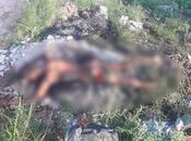 Localizan cuerpo vida quemaduras Mezquital