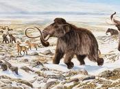 razón extinción megafauna?