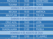 Guia para jornada futbol mexicano Guard1anes 2020