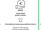 Como solicitar Becas ministerio ayudas para alumnado necesidades especificas apoyo educativo 2020/2021 Online