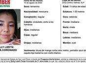 Alerta Amber: Nelly Lizeth vista última Salinas,