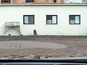 Corea Norte abrazo capitalismo (Parte trabajos ilegales extranjero)