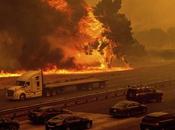 California pide ayuda internacional incendios control