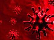 Coronavirus mundo: 23.577.600 contagiados muertes