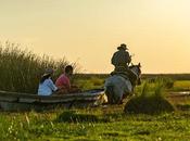 Parque Nacional Iberá. joya extranjeros vienen admirar.
