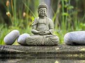 Invitación Zazenkai agosto 2020