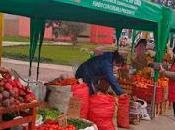 “mercado región” llegó huaura barranca…