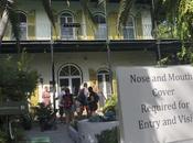 ¿Turismo durante pandemia?: casa Ernest Hemingway Florida sobrevive gracias gatos seis dedos