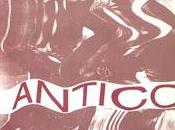 Antico need freedom