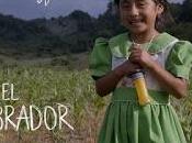 Sembrador