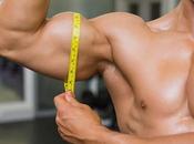 síntesis proteica mismo crecimiento muscular?