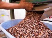 Crece consumo chocolate saludable España, según datos recogidos Pacari