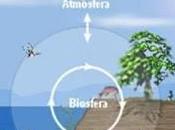 biósfera