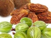 Triphala Himalaya: propiedades, beneficios contraindicaciones