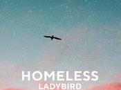 Homeless estrena Lady bird