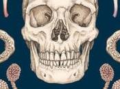 Anatomicum.Un museo casa