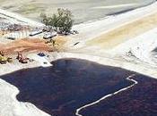 proyecto explotación Mozambique podría transformador para ambientalistas occidentales interfieren