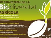 Cartel Programa