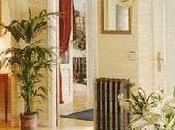 magia saludable plantas decoración