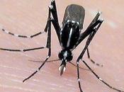 Cómo evitar picaduras mosquitos