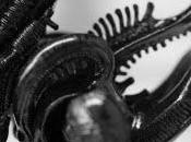 Primera imagen "prometheus"