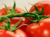Identifican potente antioxidante origen natural plantas tomate