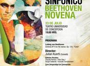 brumosa novena