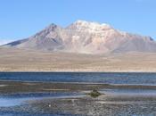 Manejo residuos sólidos nidificación Fulica gigantea (Aves, Rallidae)… Ajjuya (Bolivia) Tagua gigante (Chile) Parque Nacional Lauca