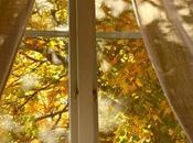 Domingo Entrañable.