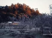 Galería: primer helada temporada Xilitla