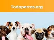 Beneficios juguetes para perros según Todoperros.org