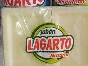 Lagarto.