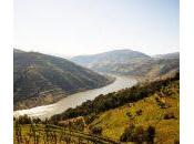 Valle Douro