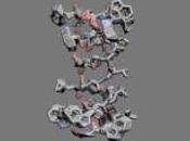 Rediseñan Antibiótico Gramicidina para hacerlo Seguro