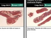 Falda Cordero Estofada