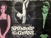 ESPLENDOR HIERBA Elia Kazan