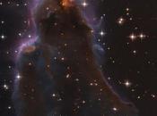 bellos viveros estelares