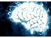 Descubren tratamiento neuroprotector para lesión cerebral traumática