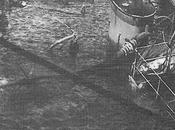 operaciones navales según jefe estado mayor flota republicana.