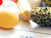 Curso online: Introducción Cannabis medicinal Cannabinoides aplicados Cáncer