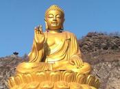 ¿Cómo manejar emociones negativas?