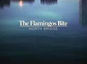 Flamingos Bite estrenan North Bridge