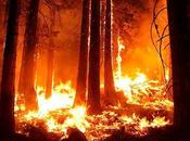 Soñar incendio
