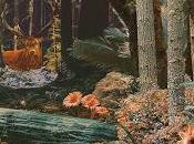 Space deer: debut 'the forest'